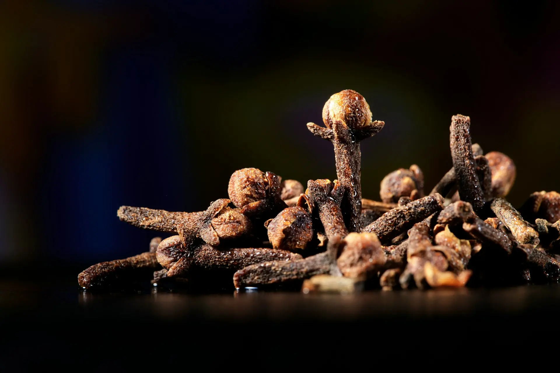 brown mushroom on water during daytime